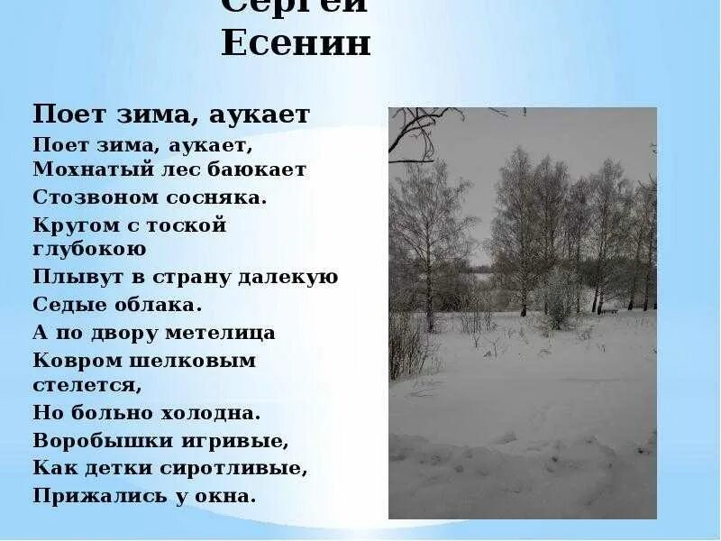 Как выучить стих поет зима аукает. Сергей есенин мохнатый лес баюкает стозвоном. стих есенина поет зима.