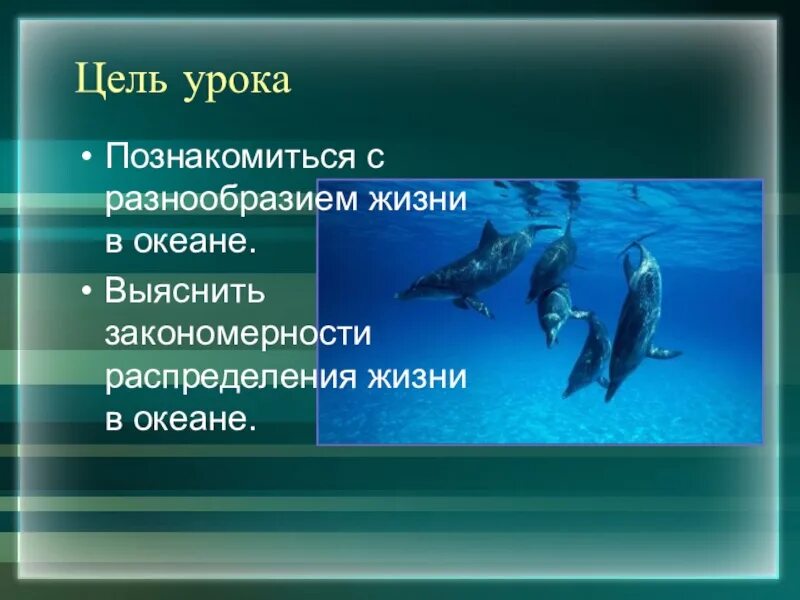 Презентация география 7 класс жизнь в океане. Распространение живых организмов в мировом океане. распространение жизни в океане. распределение жизни в океане. цель презентации жизнь в океане.