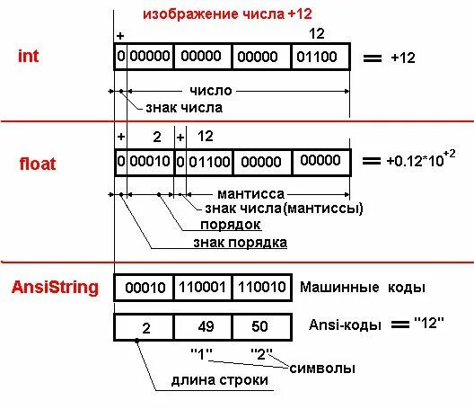 Числа в машинном коде. Машинные коды чисел. Машинный порядок. Машинные коды числа бывают:. Записать числа в машинном коде(машинное слово).