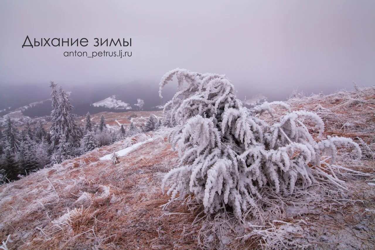 дыхание зимы конкурс 2023