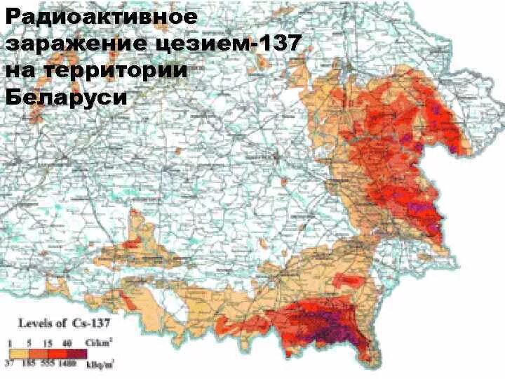 Карта заражения ЧАЭС В России. Карта радиационного загрязнения России от Чернобыльской АЭС. Загрязнение от Чернобыльской АЭС. Карта заражения от Чернобыльской АЭС.