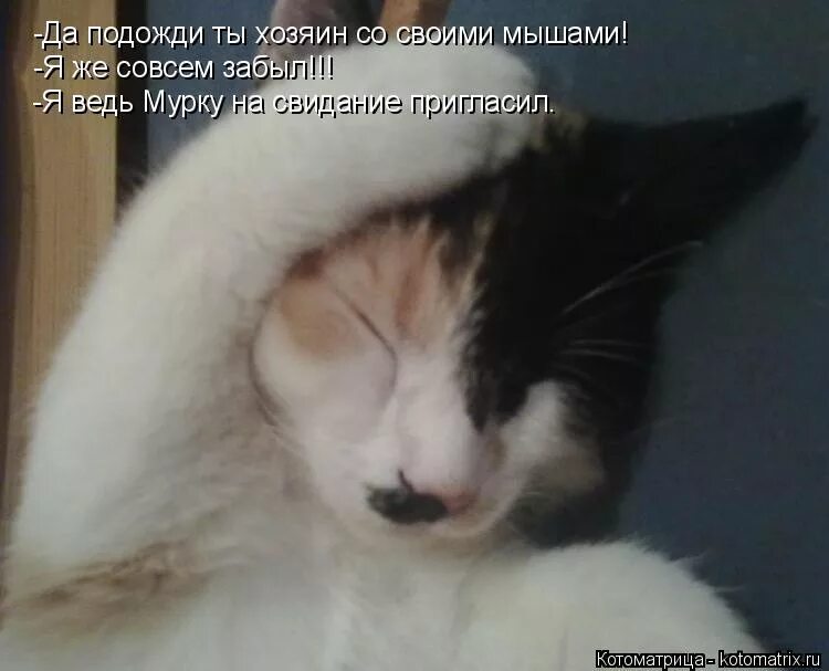 ты про меня совсем забыл. ты забыл про меня мем. про меня забыли. эх ты фото. совсем забылись.