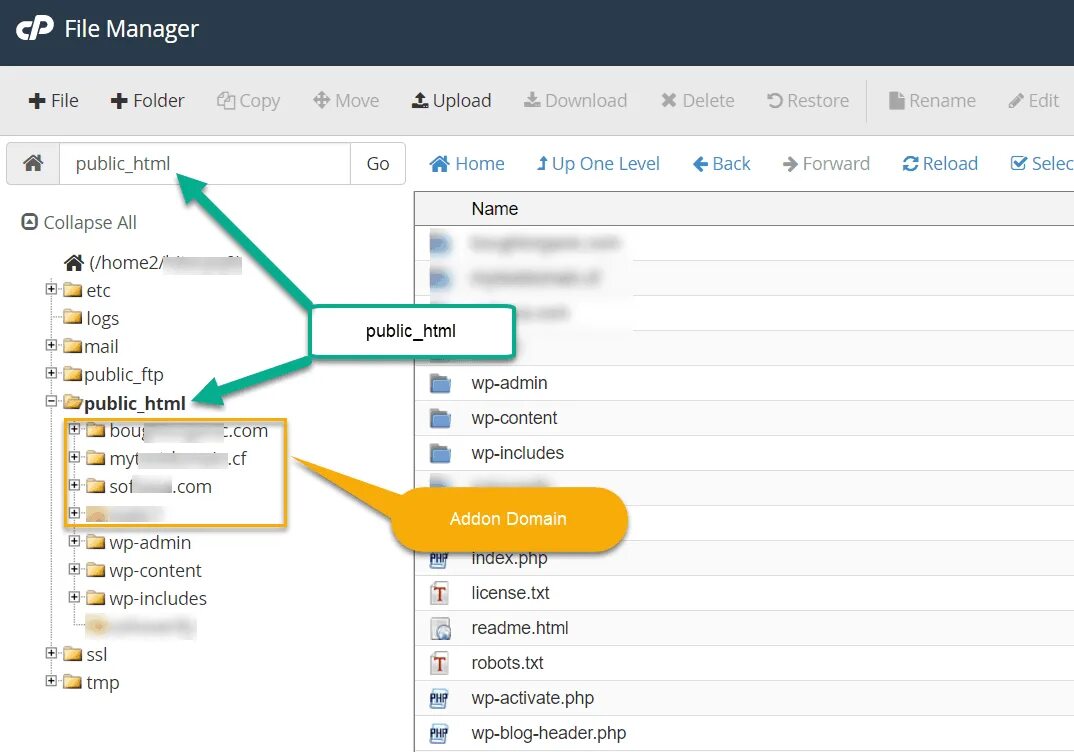 Root Directory. Folder html. Public_html. Find text file in Directory.