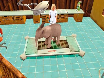Игра kinita pet
