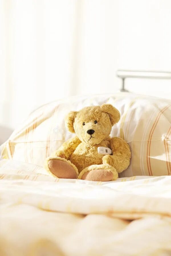 The teddy is on the bed