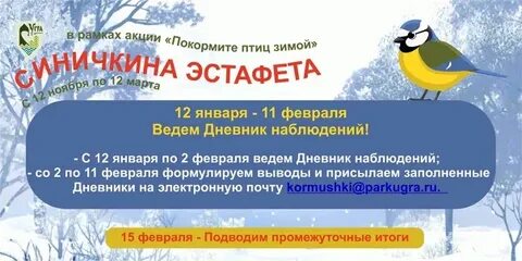 Акция покормите птиц зимой 2024