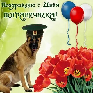 День пограничника открытки поздравления