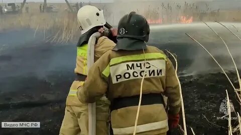 Сильно п