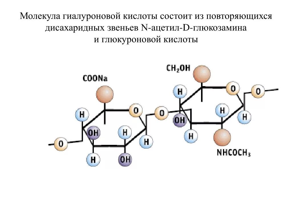 Гиалуроновая кислота что это такое. Структурная формула гиалуроновой кислоты. Химическая структура гиалуроновой кислоты. Структурные единицы гиалуроновой кислоты. Гиалуроновая кислота строение молекулы.