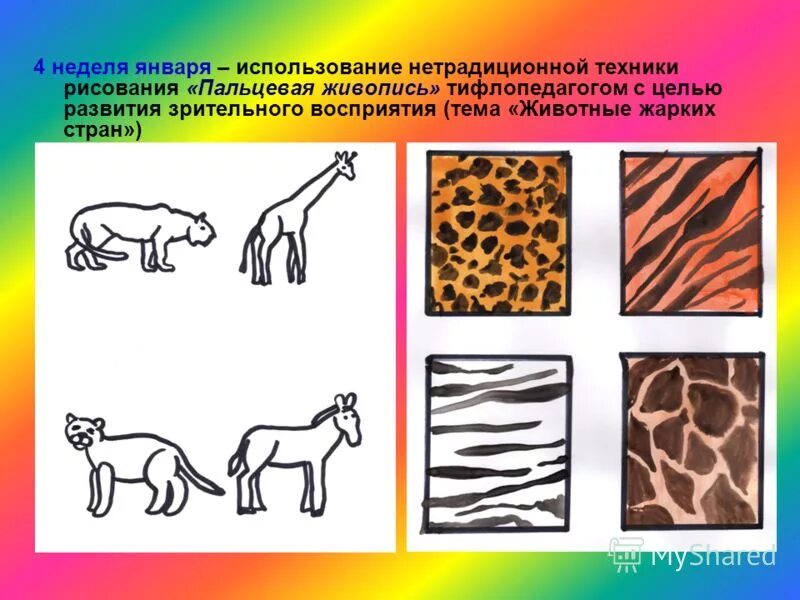 Оптические иллюзии картинки обманы зрения. Упражнения на зрительное восприятие. Спектр зрения собаки. Цветовое зрение у животных. Глаза разных живых существ.