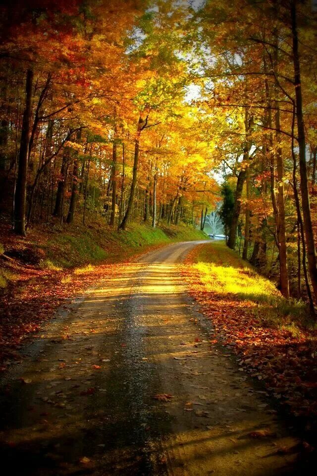 Октябрь природа. Осенние открытки. Открытки чудесной осени. Прекрасного лмннннго дня. Осенние открытки.