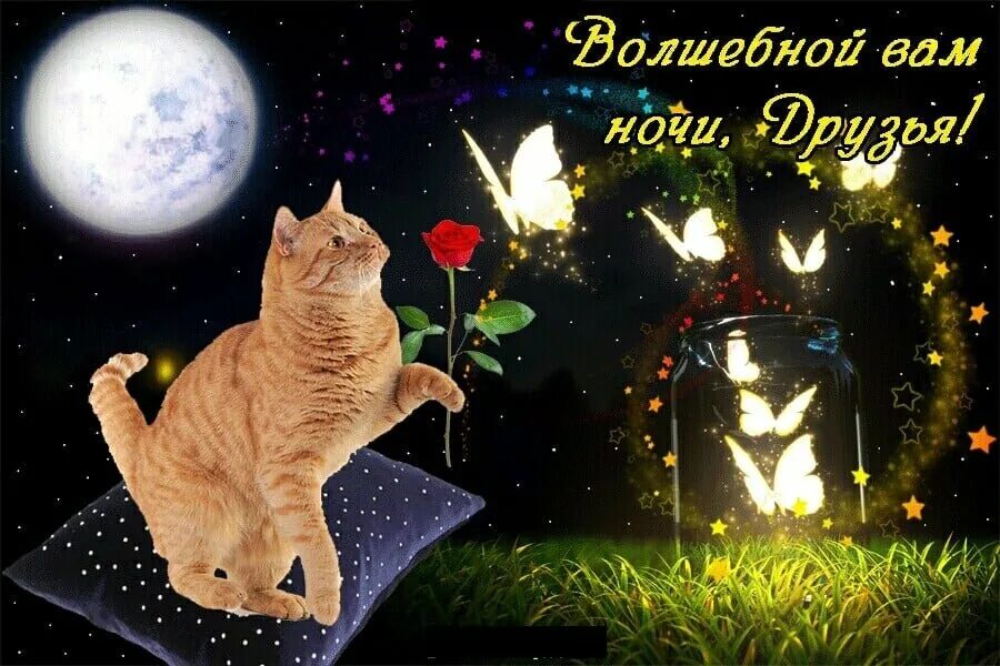 Волшебных снов. С волшебной ночью картинки с пожеланиями. Спокойной ночи волшебных снов. Приятных сказочных снов. Волшебных снов пожелания.