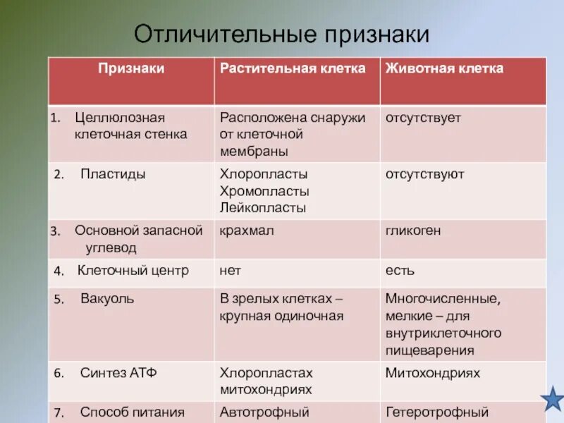 Отличительные признаки серийное производство. Отличительные признаки клеток. Признаки клетки. Отличительные признаки науки. Отличительные признаки образования.