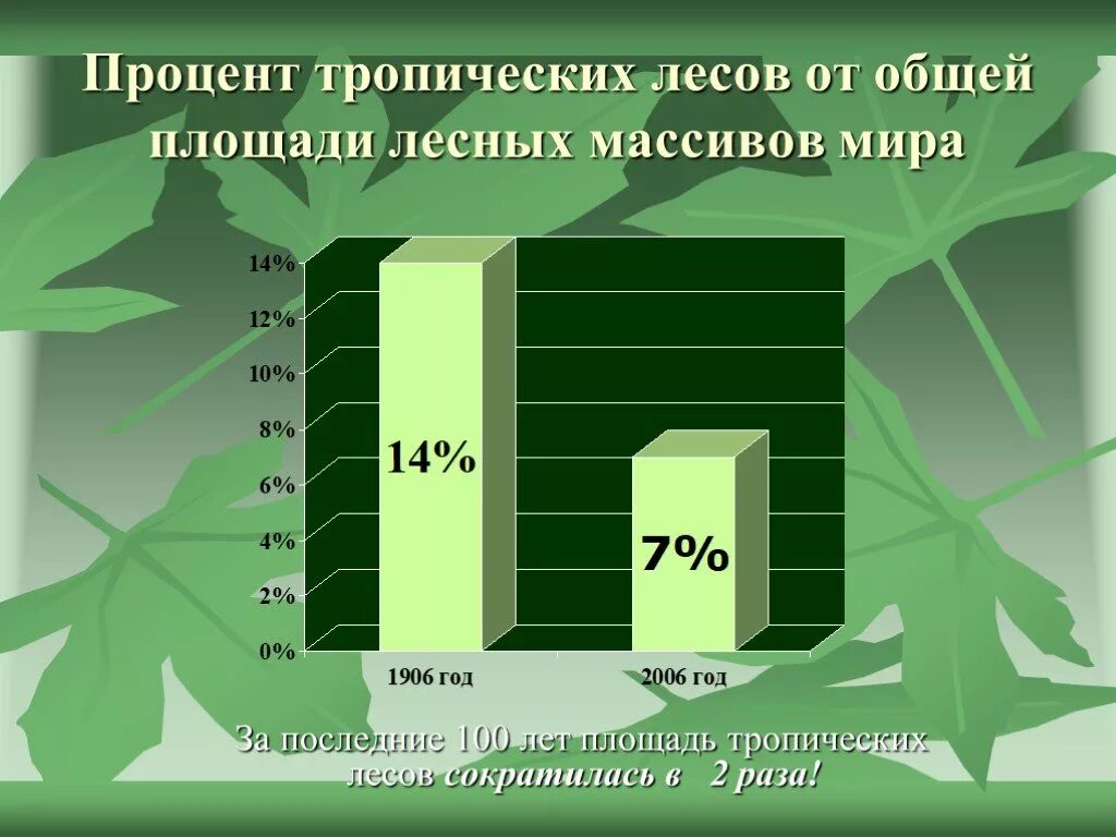 Общая площадь лесов. Насколько процентов изучен ОЕС. Насколько процентов изучен лес. Диаграмма тропический лесов.