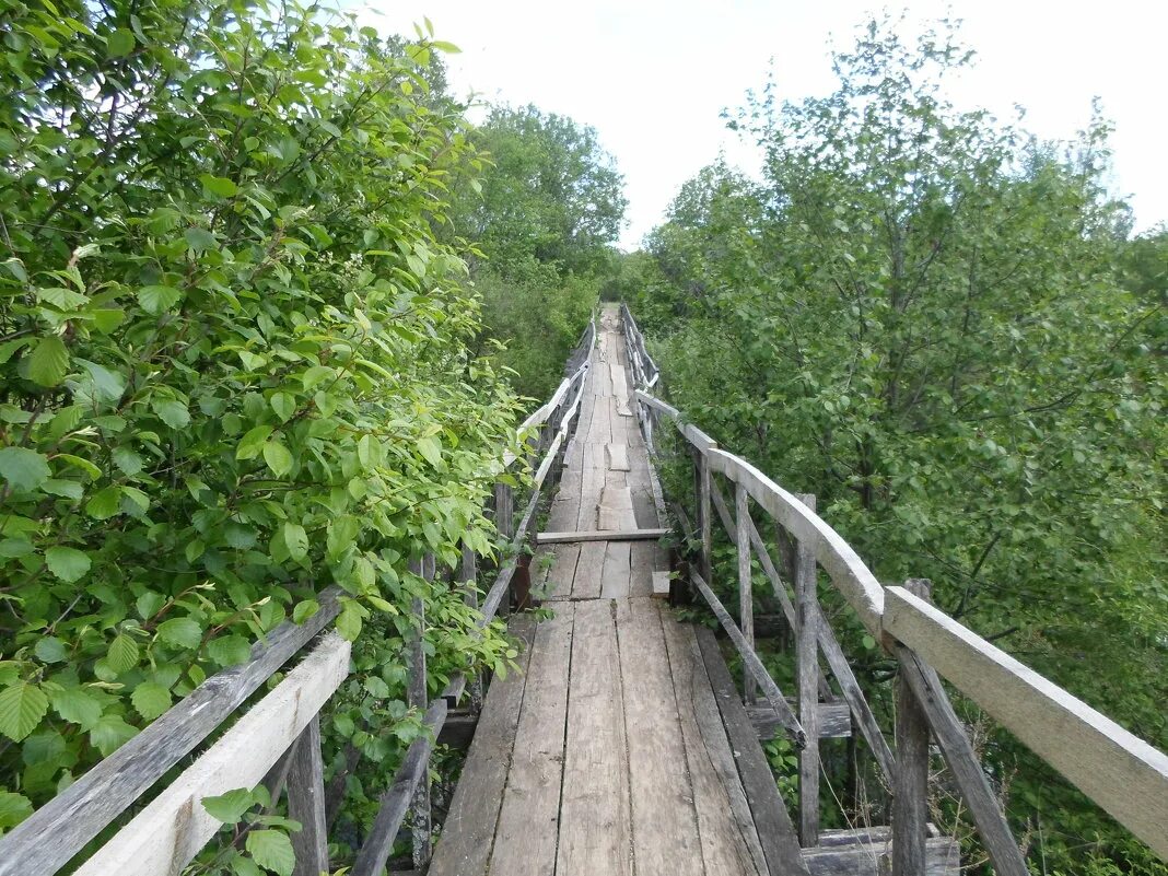 верхняя мостовая. верхний лебяжий мост в санкт-петербурге. лебяжья канавка верхний мост санкт-петербург. лебяжий мост в санкт-петербурге. лебяжий мостик санкт петербург.