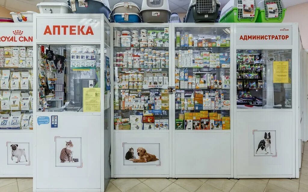 Фауна можайск ветеринарная. Фауна можайск ветеринарная. Ветклиника в можайске. Фауна можайск ветеринарная. Фауна можайск ветеринарная.