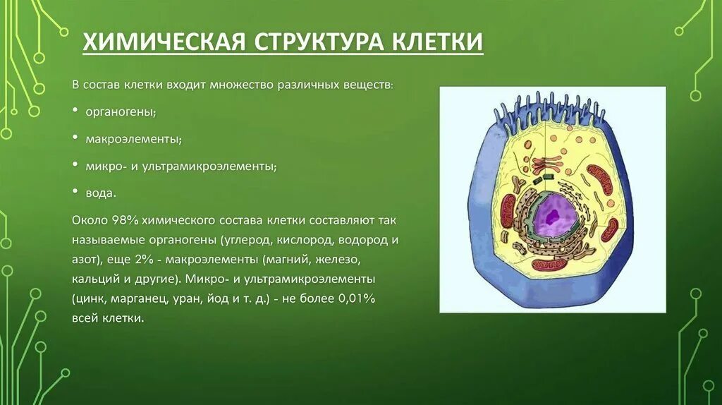 Структура биологической клетки. Состав клетки биология. Химическое строение клетки. Строение и химический состав клетки. Клетка строение клетки.