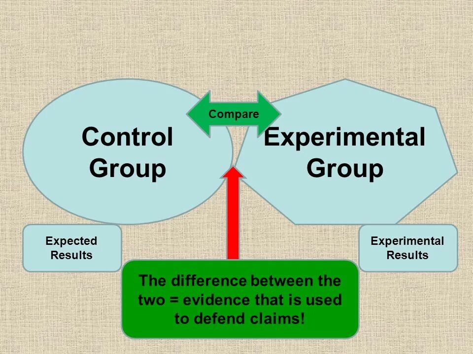 Vs control. Experimental. Control Group. Коалити контрол группа. Control Groups Test Groups.