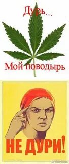 Песня дурь