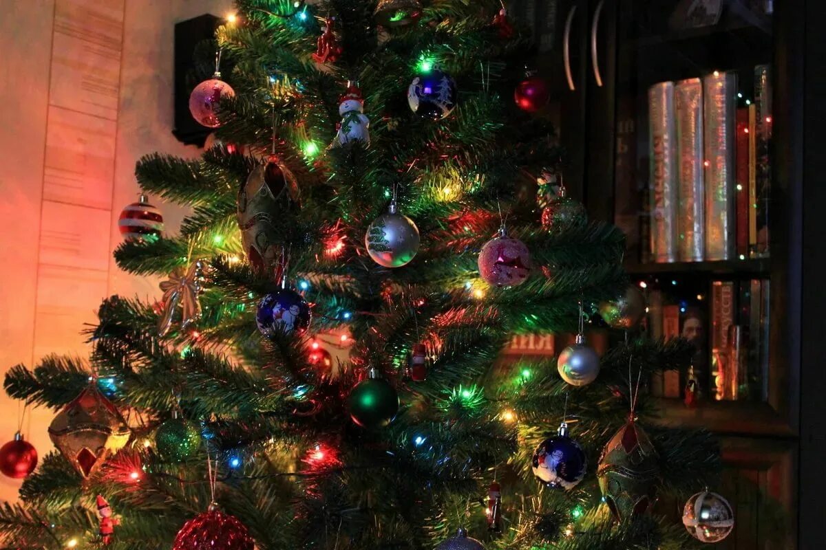 Новогодняя елка. Красивая елка. Рождество елка. Нарядная елка.