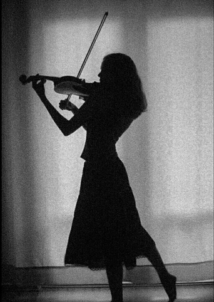 Скрипка на окне. Девушки со скрипкой. Девушка со скрипкой со спины. Скрипач со спины. Фотосессия со скрипкой.