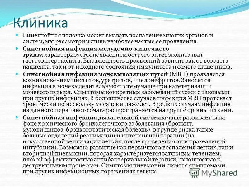 Симптомы синегнойной палочки у взрослых. Симптомы синегнойной палочки. Основные клинические проявления синегнойная палочка. Клинические проявления синегнойной палочки. Синегнойная палочка внутрибольничная инфекция.