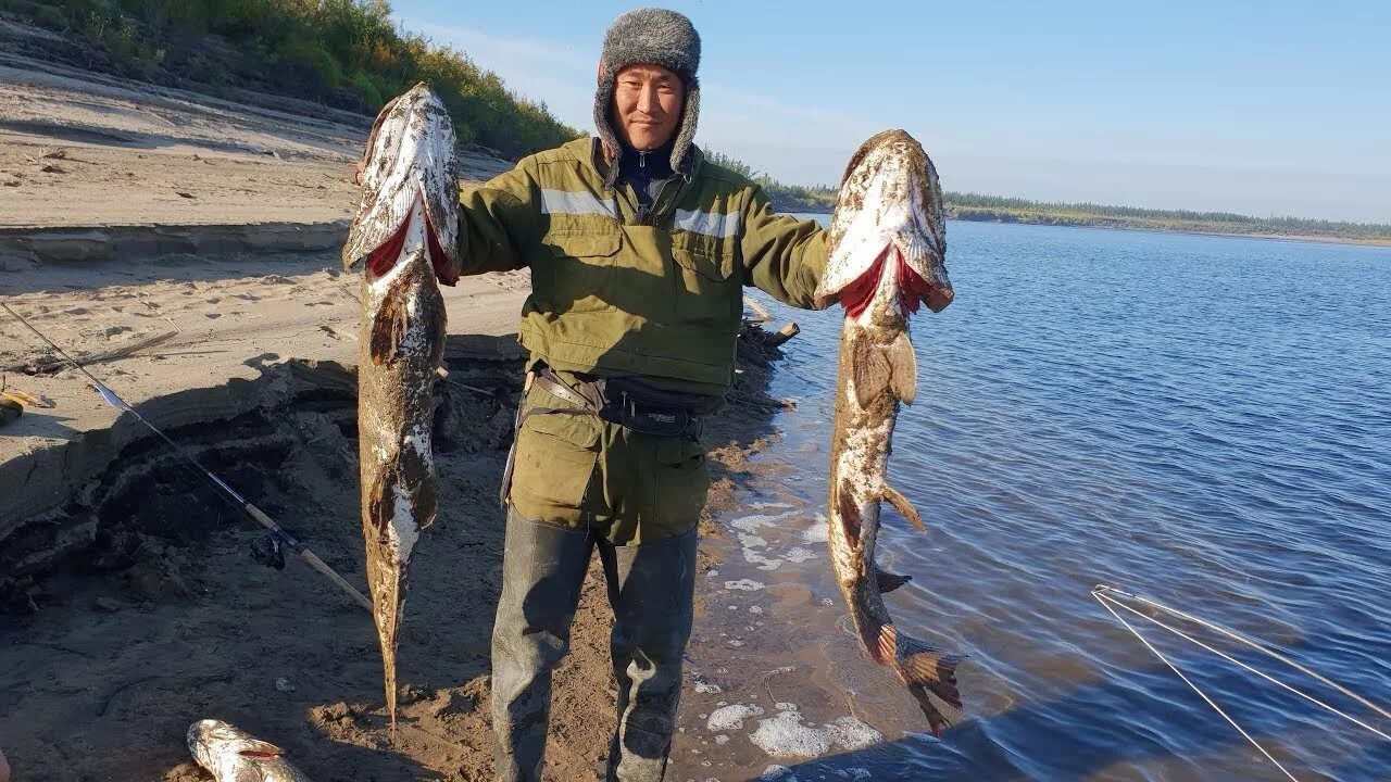 Якуты рыбалка. Рыболовство в Якутии. Охота якутске