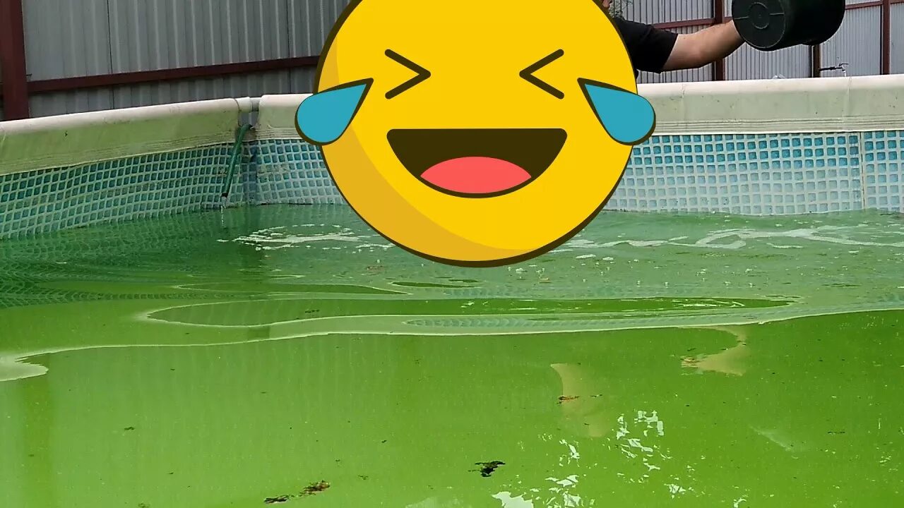 Зеленая вода в бассейне. Каркасный бассейн зеленая вода. Бассейн без химии. Бассейн зеленый прозрачный. Цветущая вода в бассейне
