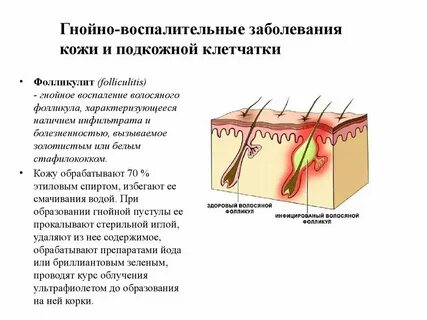 К придаткам кожи