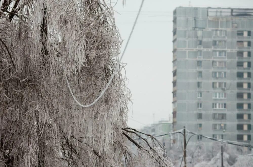 Когда был ледяной дождь. Ледяной дождь в россии 2010. ледяной дождь в москве. ледяной дождь в россии (2010 г, декабрь). ледяной дождь декабрь 2010 москва.
