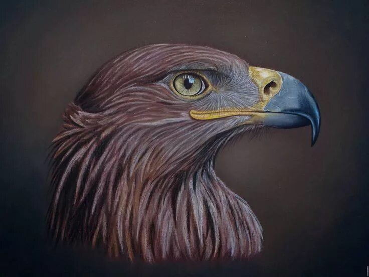 painterman33 on deviantART.Oil on canvas. Wildlife art, Birds painting, Eagle ar