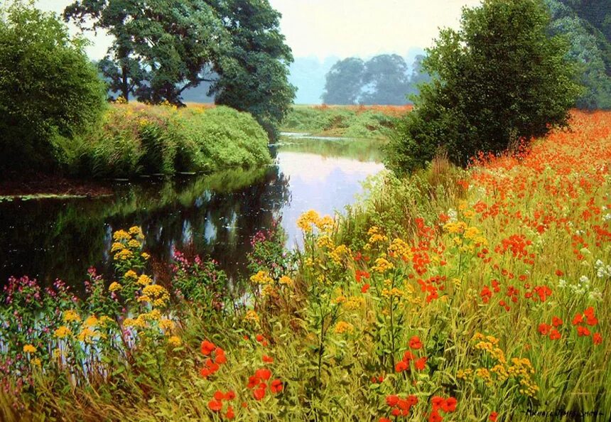 Луговой пастбищный агроландшафт. Пейзажи россии. Моравия острава гессон. Северо-германская низменность. Штат канзас поля.