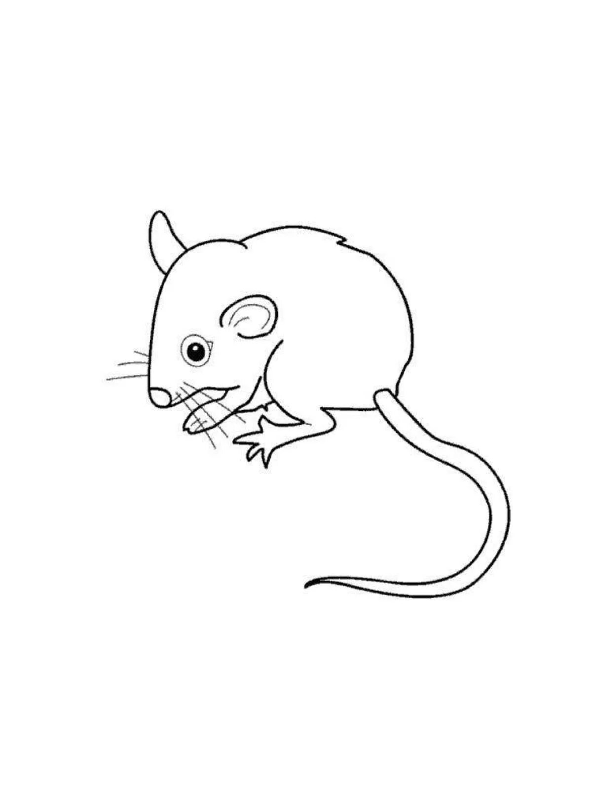 Мышь раскраска. Раскраска Миша. Раскраска мышонок. Мышь раскраска для детей. Раскраска мышь распечатать