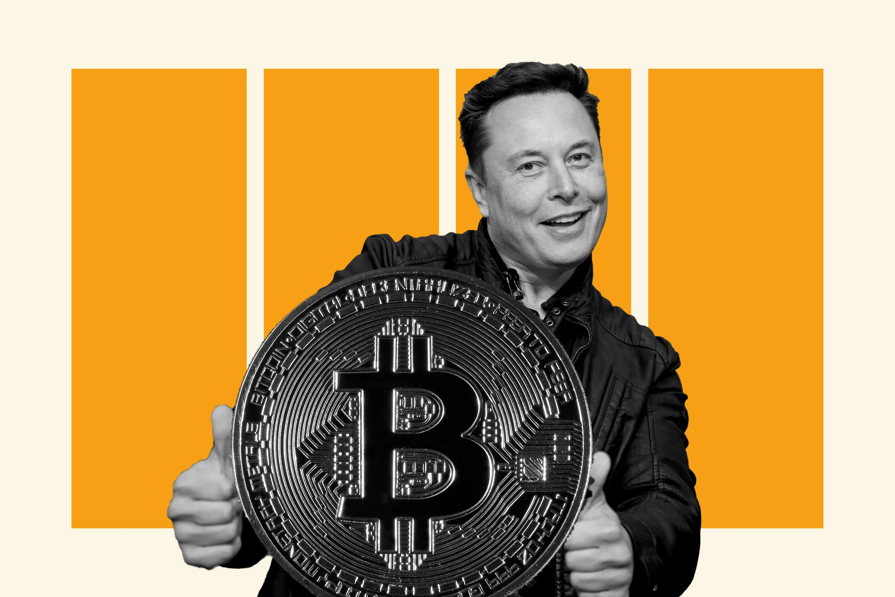 Илон маск биткоин прогноз. Биткоин маск. elon musk btc.