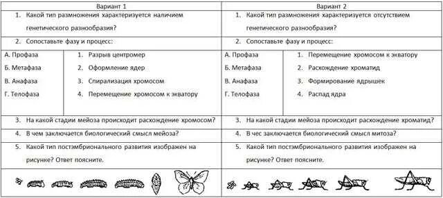 Тест по мейозу 10 класс. Индивидуальное развитие организма контрольная работа. Размножение и индивидуальное развитие организмов. Размножение и индивидуальное развитие организмов 9 класс. Размножения и индивидуальное размножения развития организма.