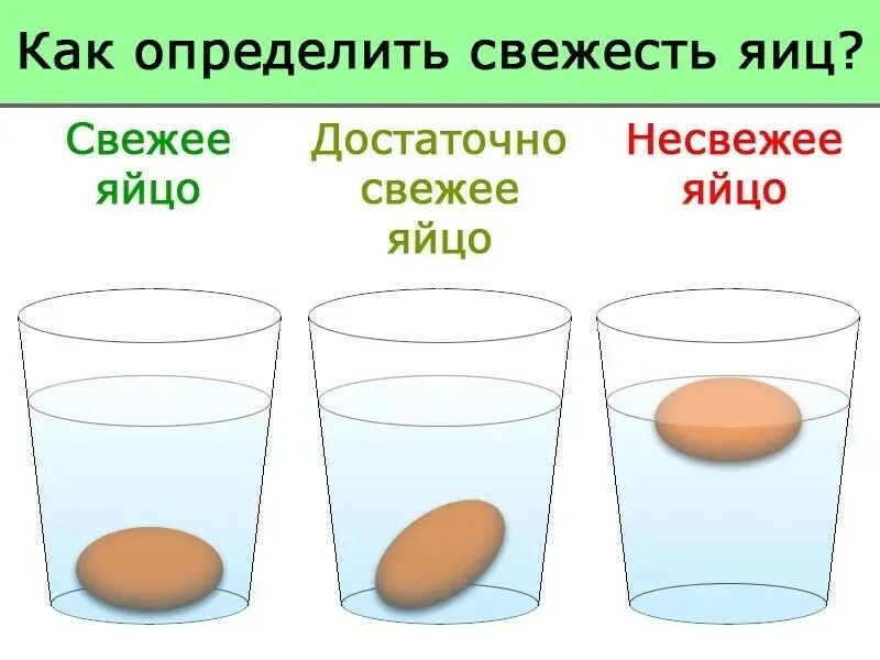 Как определить свежесть утиных яиц. Как проверить яйца на свежесть в воде. Свежесть яиц в воде проверить. Как узнать свежесть куриного яйца.