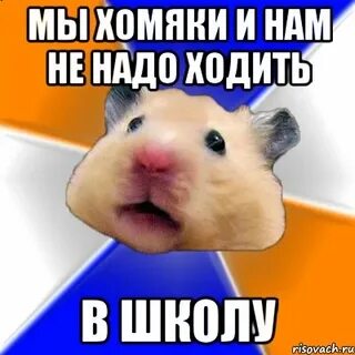 Мы хомяки и мы хомячим текст