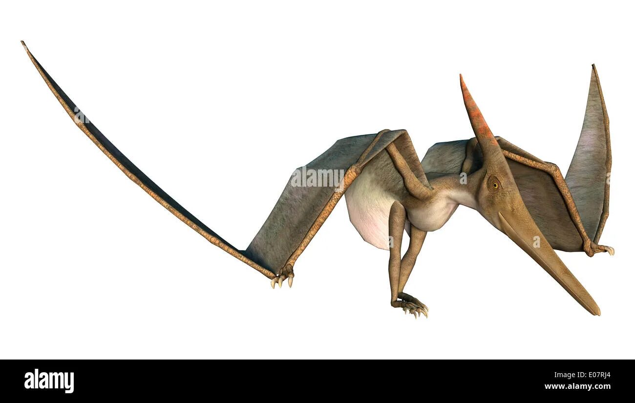 Жила на свете птеранодон. Птерозавр Птеродаустро. Птерозавр с длинным выростом на голове. Птеранодон игрушка. Полурослик на птеранодона.