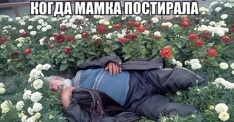 Бомж с цветами