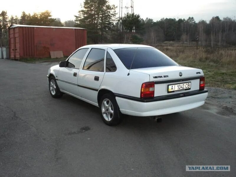 Опель вектра 93 год. Opel 1993. Опель вектра 93 год. Opel vectra 1993 белый. Opel vectra 1992.
