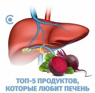 Печень любимый