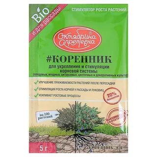 Подкормка корневой системы