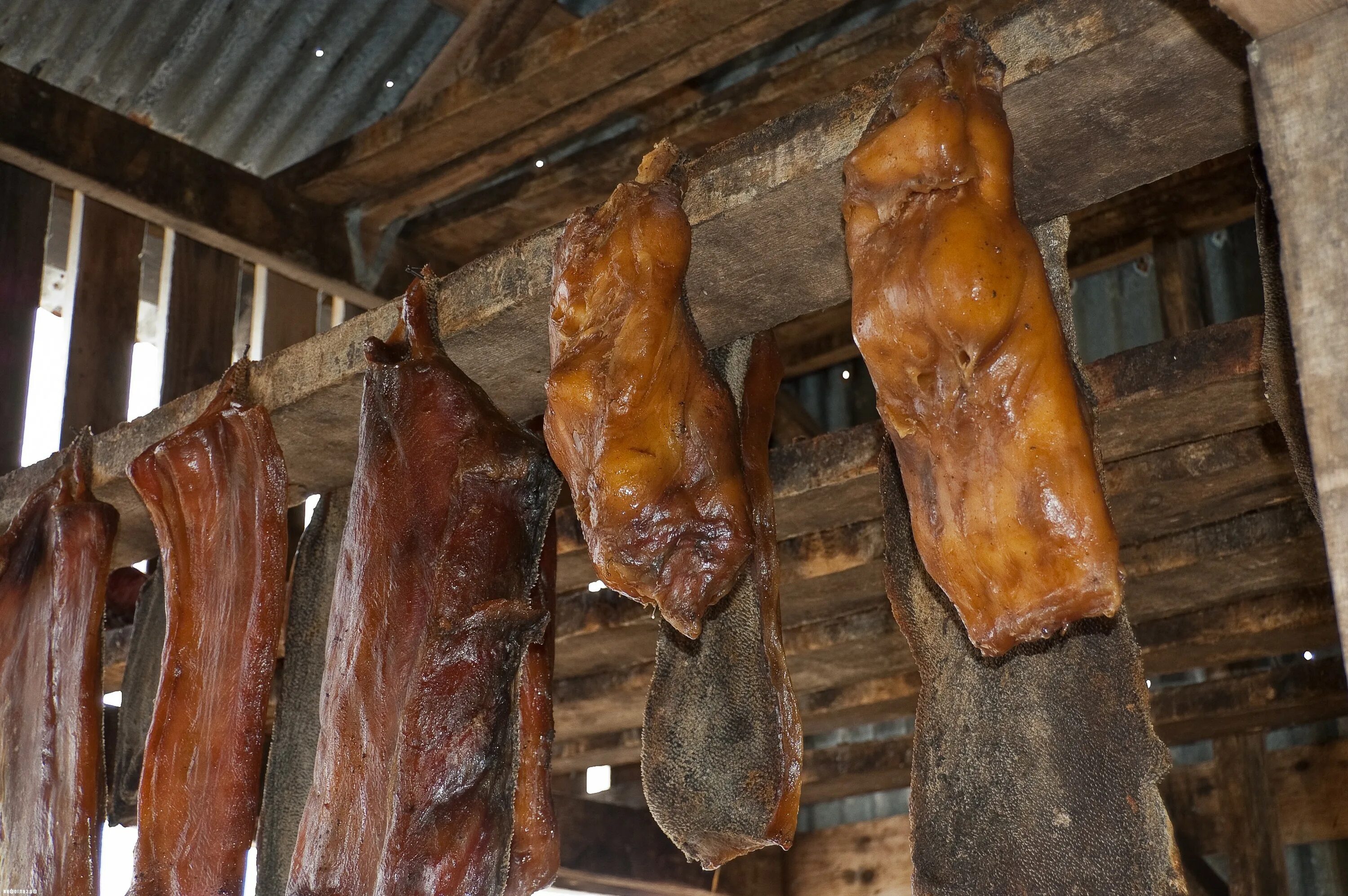 Местные деликатесы. Тухлые деликатесы. Китайский деликатес тухлое яйцо. Тухлые яйца деликатес китай. Хаукарль национальное блюдо исландии, гнилое мясо акулы.