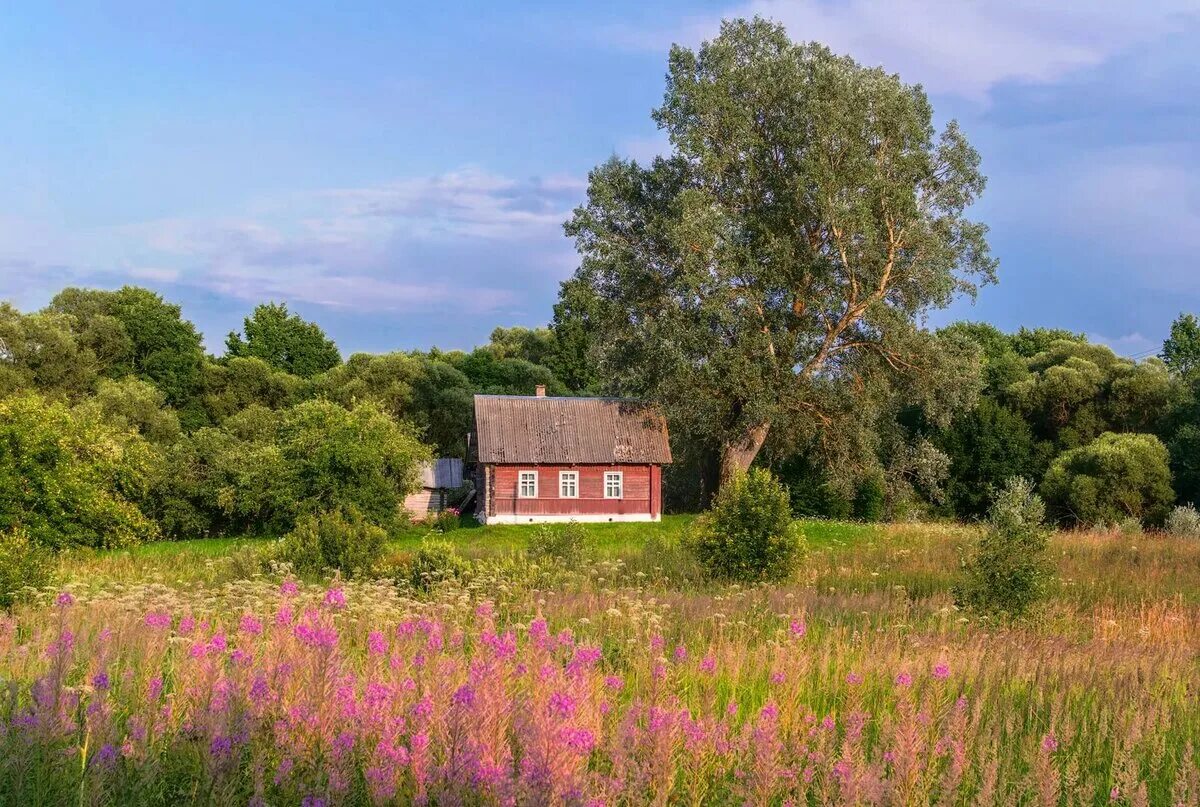 Лето дом 7. Лето в деревне. Домик в деревне. Деревенский пейзаж. Деревенский домик.