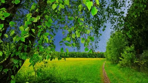 Картинка на рабочий стол природа вертикальные