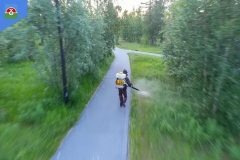 Релиз парк надым