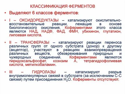 Какую роль в составе фермента играют коферменты