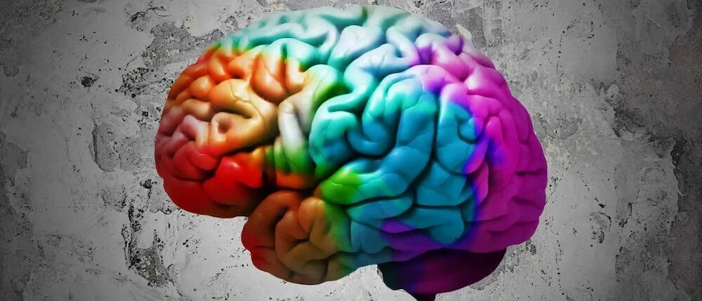 Brain apps. Программы мозга. брейн апс. брайан аппс. brainapps.