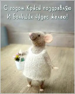 Мышь пришла