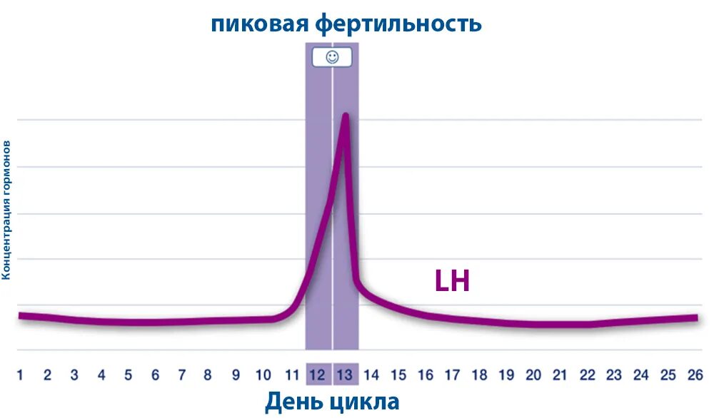 Фертильный день это у женщин. Окно фертильности. Фертильность. Высокая фертильность. Фертильность у женщин.